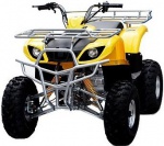 Full Size Utility Style ATV (Quad) # ATA-150D