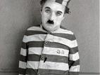 Charlie Chaplin besuchte Berlin vor rund 80 Jahren. Nun werden seine Werke im Kino Babylon am Rosa-Luxemburg-Platz gezeigt. Das Stummfilmfestival findet vom 15. Juli bis 7. August statt. Erstmals wird in Deutschland das Gesamtwerk des Künstlers gezeigt. Die Filme werden vom Neuen Kammerorchester Potsdam musikalisch begleitet. Quelle: Foto: promo